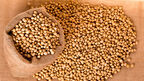 DeLong Co increases soyabean export capacity at Port of Milwaukee following completion of expansion project