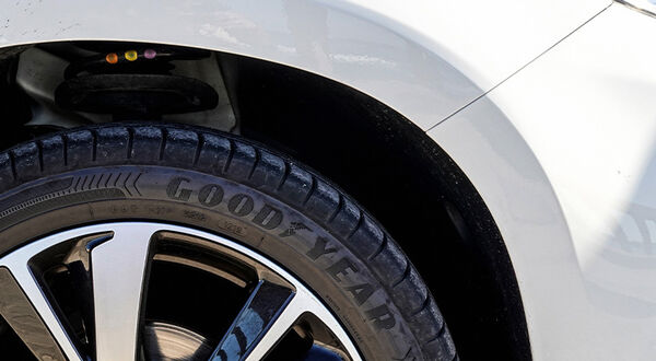 Goodyear demands sustainable practices from soyabean suppliers
