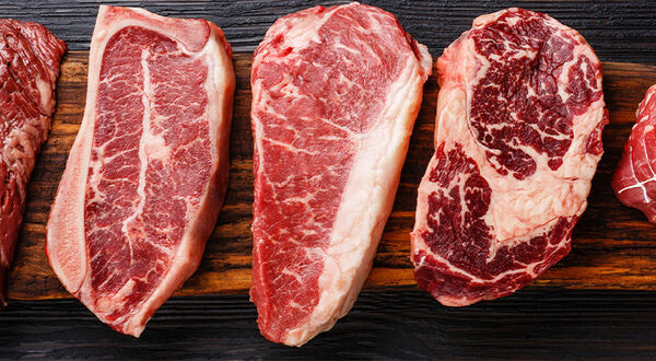 Cultivated fat company Mission Barns to scale up and build pilot plant