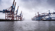 UMG Investments plans grain export terminal at Black Sea port