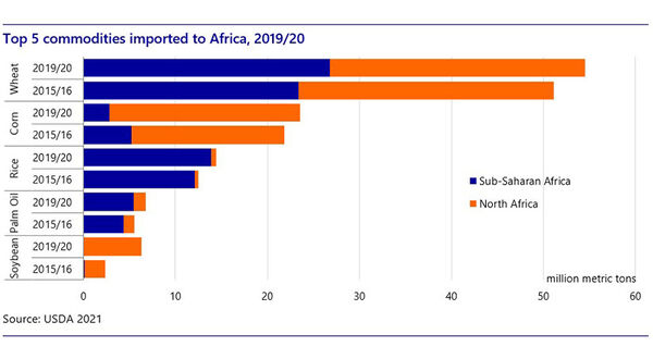 Global oilseeds trade grows driven by rising demand from Asia and Africa