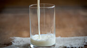 Soyabean and linseed oils added to cows' diet improves milk quality