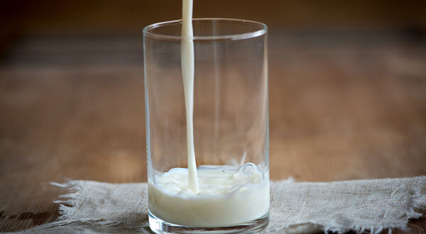 Soyabean and linseed oils added to cows' diet improves milk quality