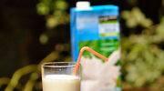 EU rejects proposals to restrict alternative dairy terminology