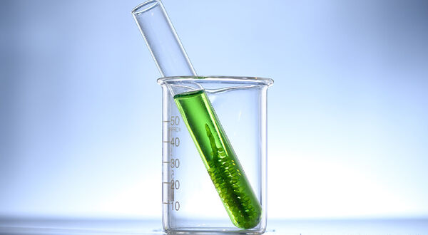Singapore microalgae protein project to use Bühler technology to increase processing efficiency