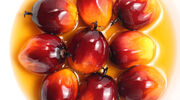Malaysian palm oil stocks hit five-month low in January as production slows