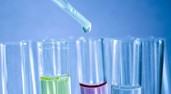 EFSA says methyloxolane is safe solvent for vegetable oil extraction