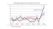 FAO vegetable oil price index hits 13-year high