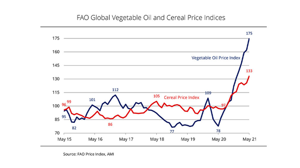 Source: FAO Price Index, AMI