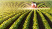 GM crops grown on over half of US planted area