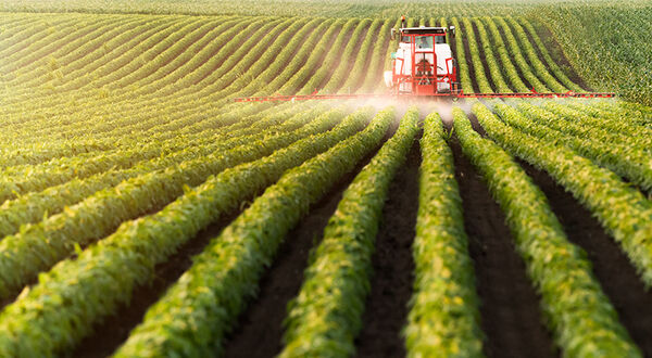 USDA lowers estimates for Argentina’s soyabean planted area