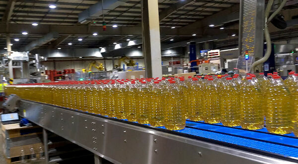 Edible Oils completes first phase of Erith site in UK