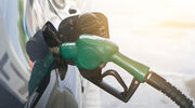 Indonesia's B30 programme set to drive global biodiesel production for next decade