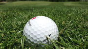 Researchers developing biodegradable golf balls