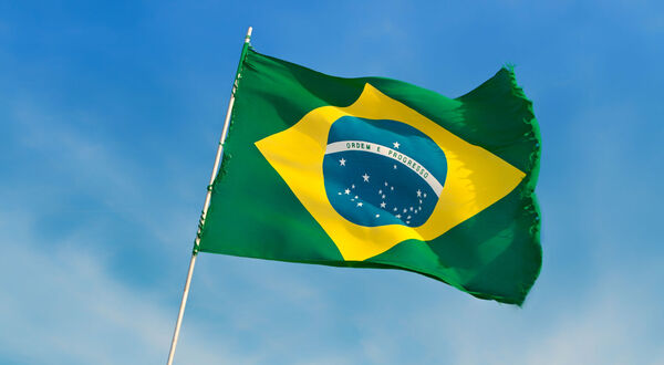 Brazilian soyabean oil exports surge