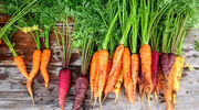 EC to propose farm-to-fork strategy as formal legislation