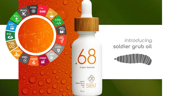 Joint venture launches insect oil extract in luxury face oil