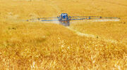 Global fertiliser shortage and record prices may lead to food crisis