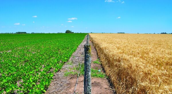 PepsiCo and ADM to collaborate on regenerative agriculture projects