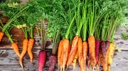 Legislation to boost EU organic production comes into force