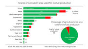 Report shows only a small percentage of global crops used for biofuels production