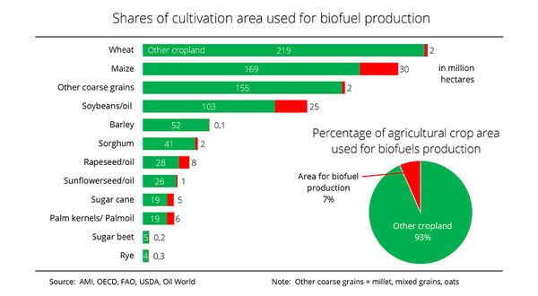 Report shows only a small percentage of global crops used for biofuels production