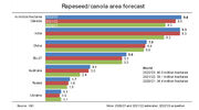 IGC forecasts record global rapeseed harvest this year
