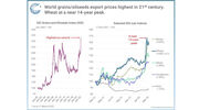 Russia-Ukraine conflict sparks grain and oilseed price hike