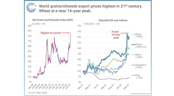 Russia-Ukraine conflict sparks grain and oilseed price hike