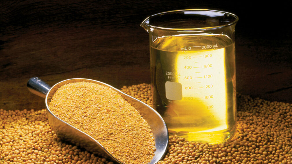 Source: United Soybean Board