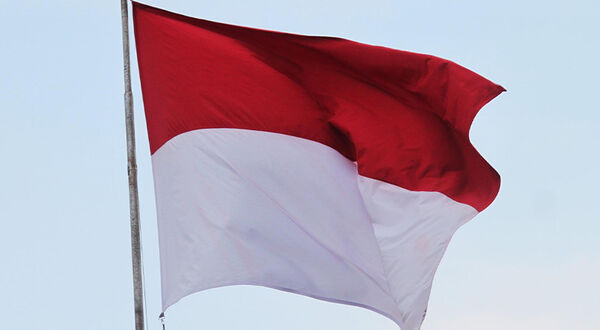 Indonesia launches centralised export system for palm oil