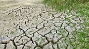 IPCC report warns food systems must deliver decisive low-carbon shift