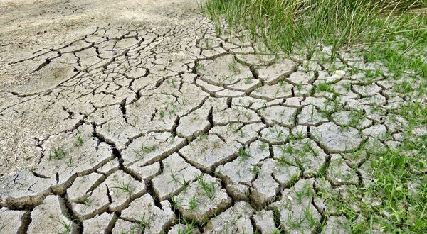 IPCC report warns food systems must deliver decisive low-carbon shift