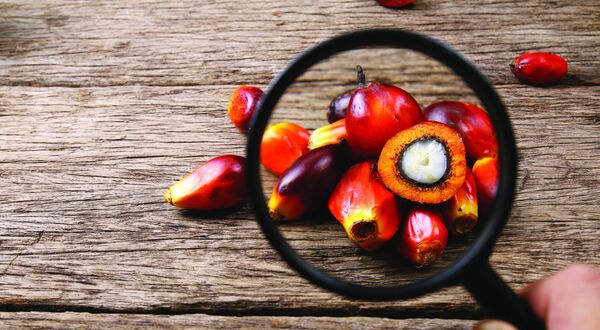 European Palm Oil Alliance dissolved