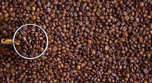 Caffe Inc set to build recycling plant in Amsterdam to turn coffee waste into coffee oil and blocks