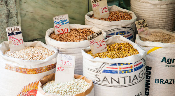 Top agricultural exporting countries pledge action in bid to stabilise food prices and maximise yields