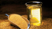 US soyabean oil prices rise due to tight supply and surging energy costs