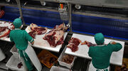 China’s ban on US animal proteins presents opportunities for European renderers