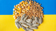Ukrainian ministry says around 1.5M tonnes of food have left country under grain export deal