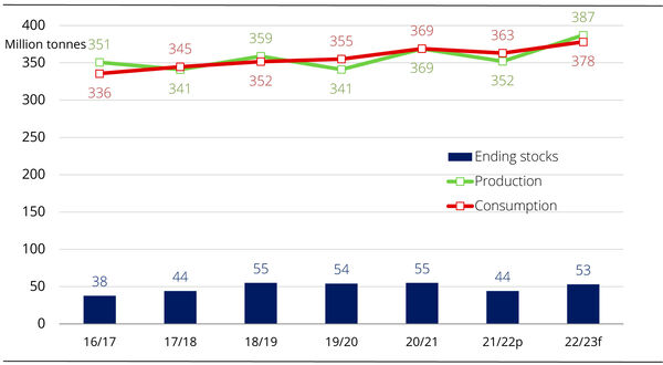 International Grains Council lowers global soyabean forecast