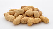 Senegal peanut production forecast to be 7% higher in 2022/23