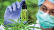 Hemp/CBD