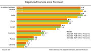 IGC forecasts marginally lower global rapeseed area for the 2023/24 harvest