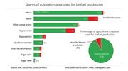 Only 8% of global crop land used for biofuels