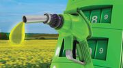 German plans to end crop-based biofuels would hit farmers and cut rapeseed output