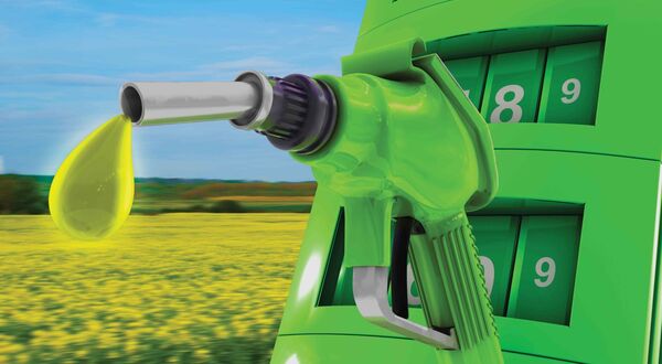 German plans to end crop-based biofuels would hit farmers and cut rapeseed output