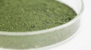 Neste looking into opening algae pilot facility in Spain