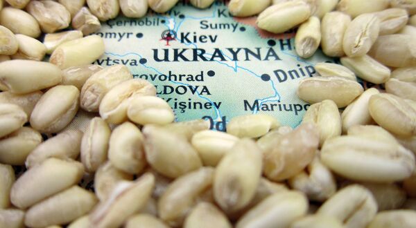 Slovakia joins Poland and Hungary in banning grain imports from Ukraine