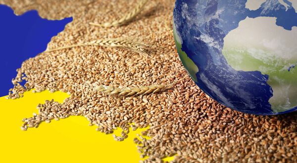 Poland to ban Ukrainian grain imports from 15 September but aid transit