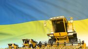 Leading Ukrainian edible oils and agricultural producers suffer significant losses